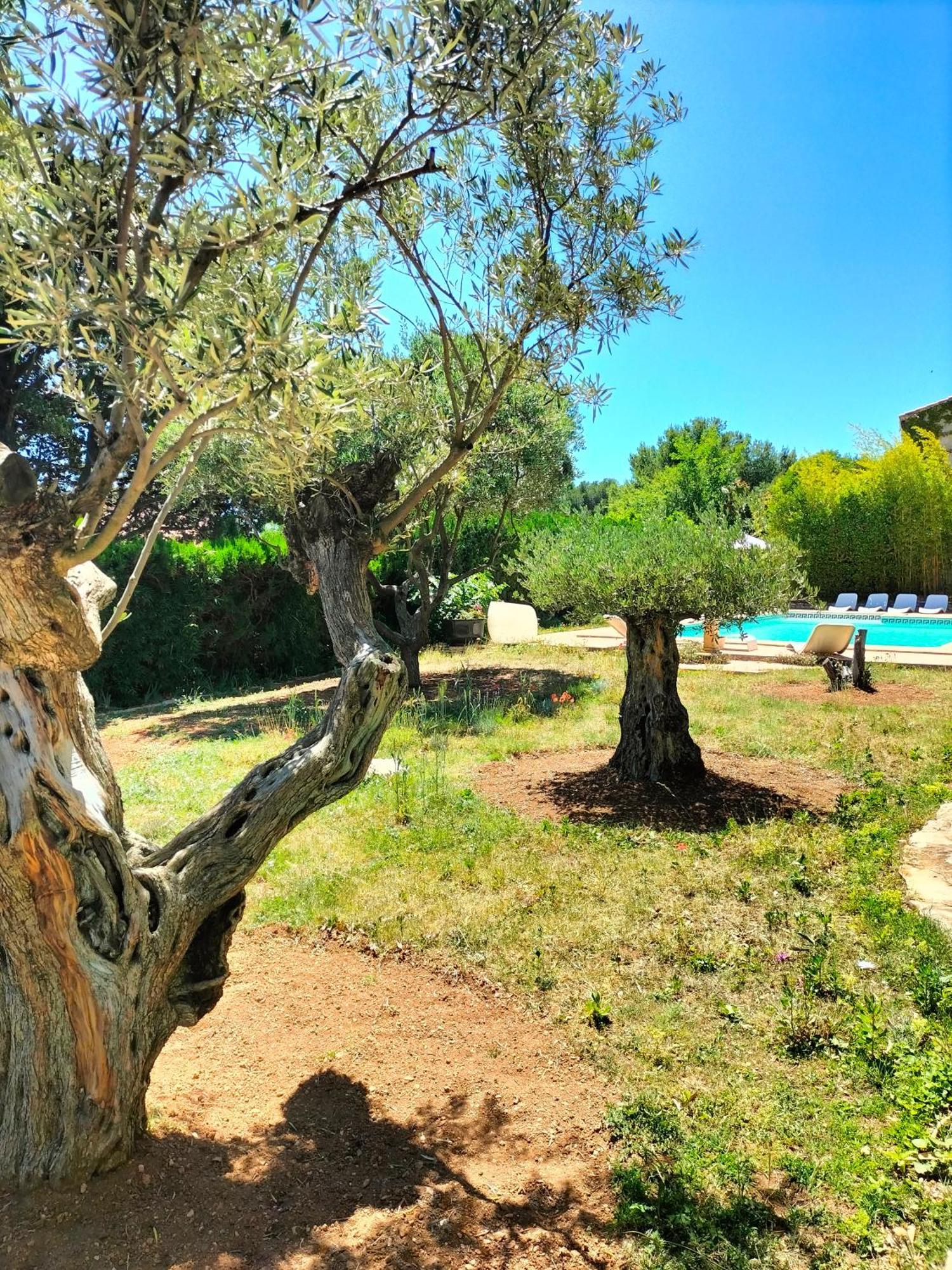 Vacances Carnoux-en-Provence Exterior foto